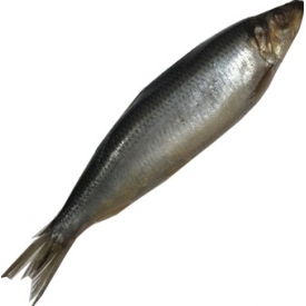 Marinuota sveriama silkė £4.39 kg vnt~ 350g (Marinated herring)