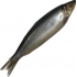 Marinuota sveriama silkė £4.39 kg vnt~ 350g (Marinated herring)