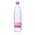 "Birutė" Naturalus mineralinis vanduo 500ml (Mineral water)