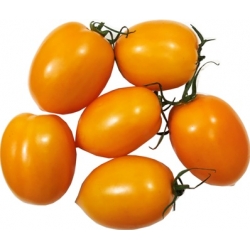 Geltonieji pomidorai £5.69 kg (Yellow tomatoes)