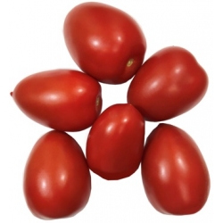 Slyviniai pomidorai £3.99 kg (Plum tomatoes)