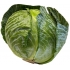Kopūsto galva,kaina per vienetą  (Cabbage head)