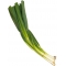 Svogūnų laiškai (Spring onions) £1.09 per banch