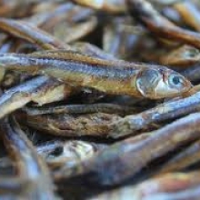 Džiovinta,vytinta,sūdyta žuvis (Dried Fish)